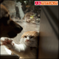 人気ブログランキングへ